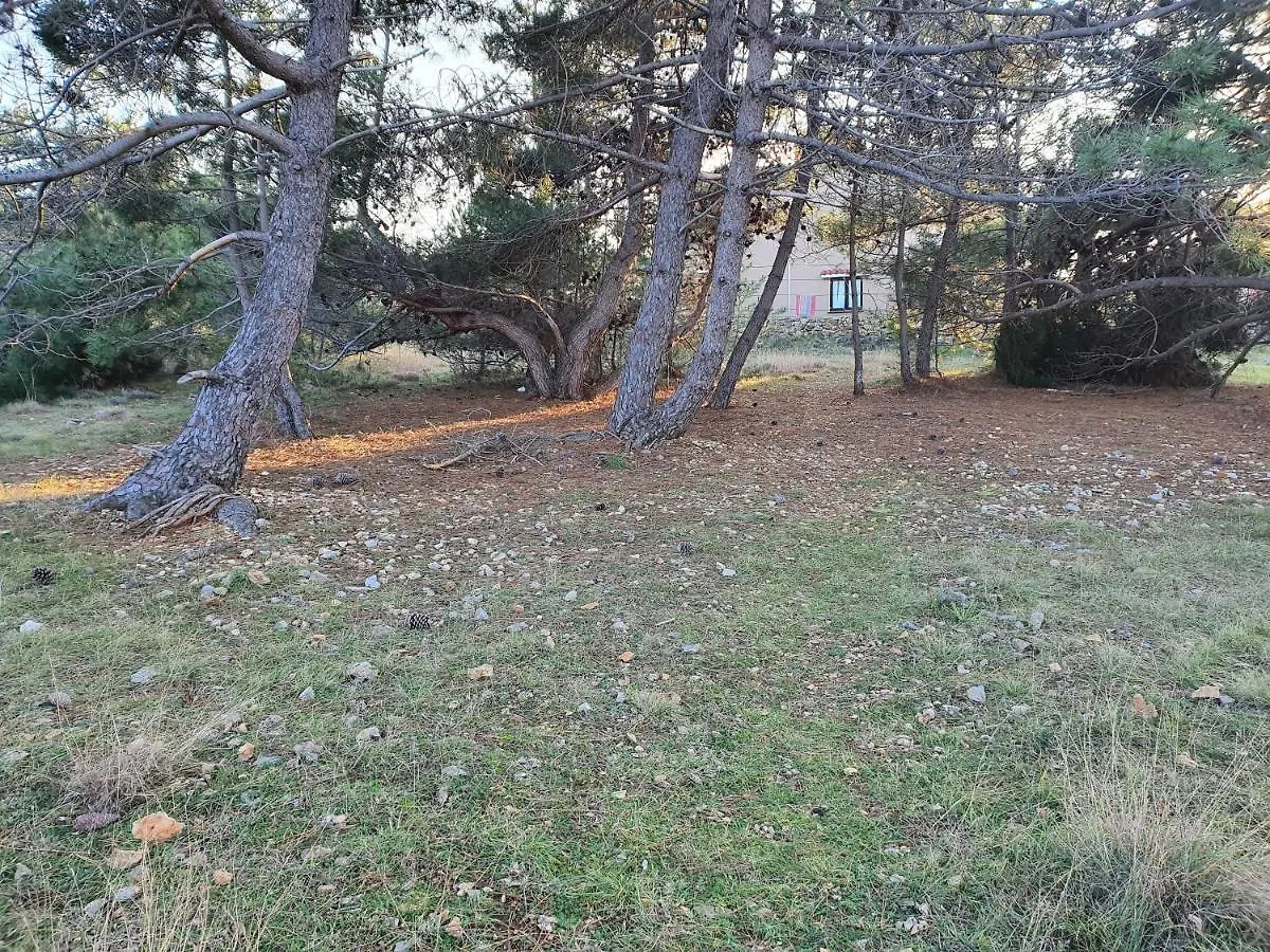 Apartmani Bellevue Vir Apartament