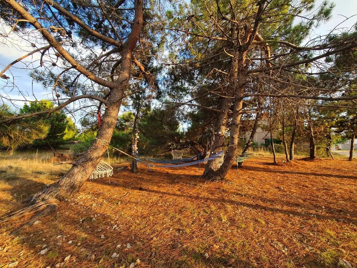 Apartmani Bellevue Vir Chorwacja